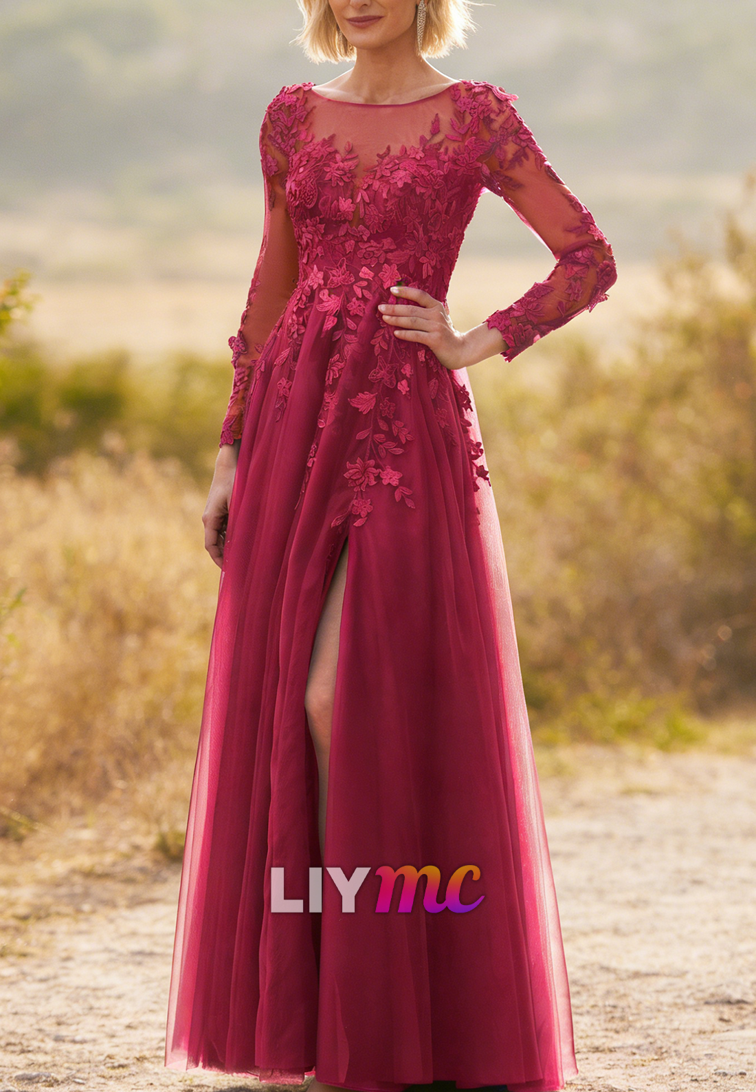 Scoop Long Sleeves Appliques A-Line Mother of Bride Dress