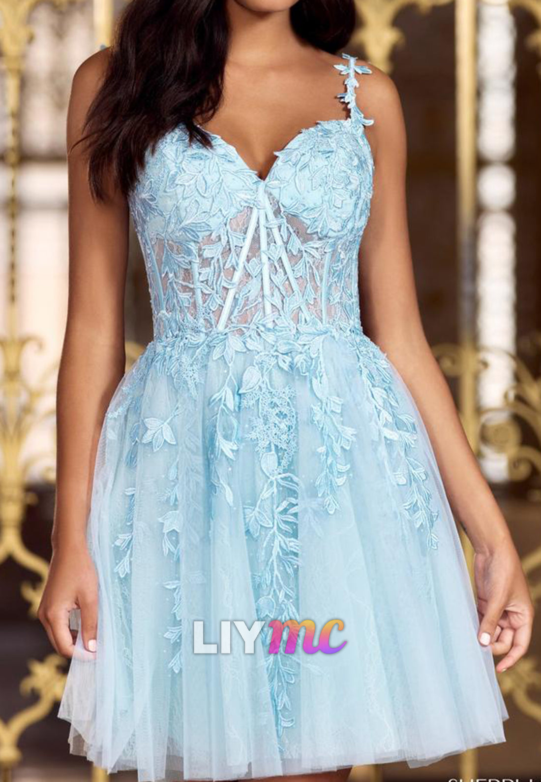 Sweetheart Sleeveless Appliques A-Line Tulle Short Homecoming Graduation Dress
