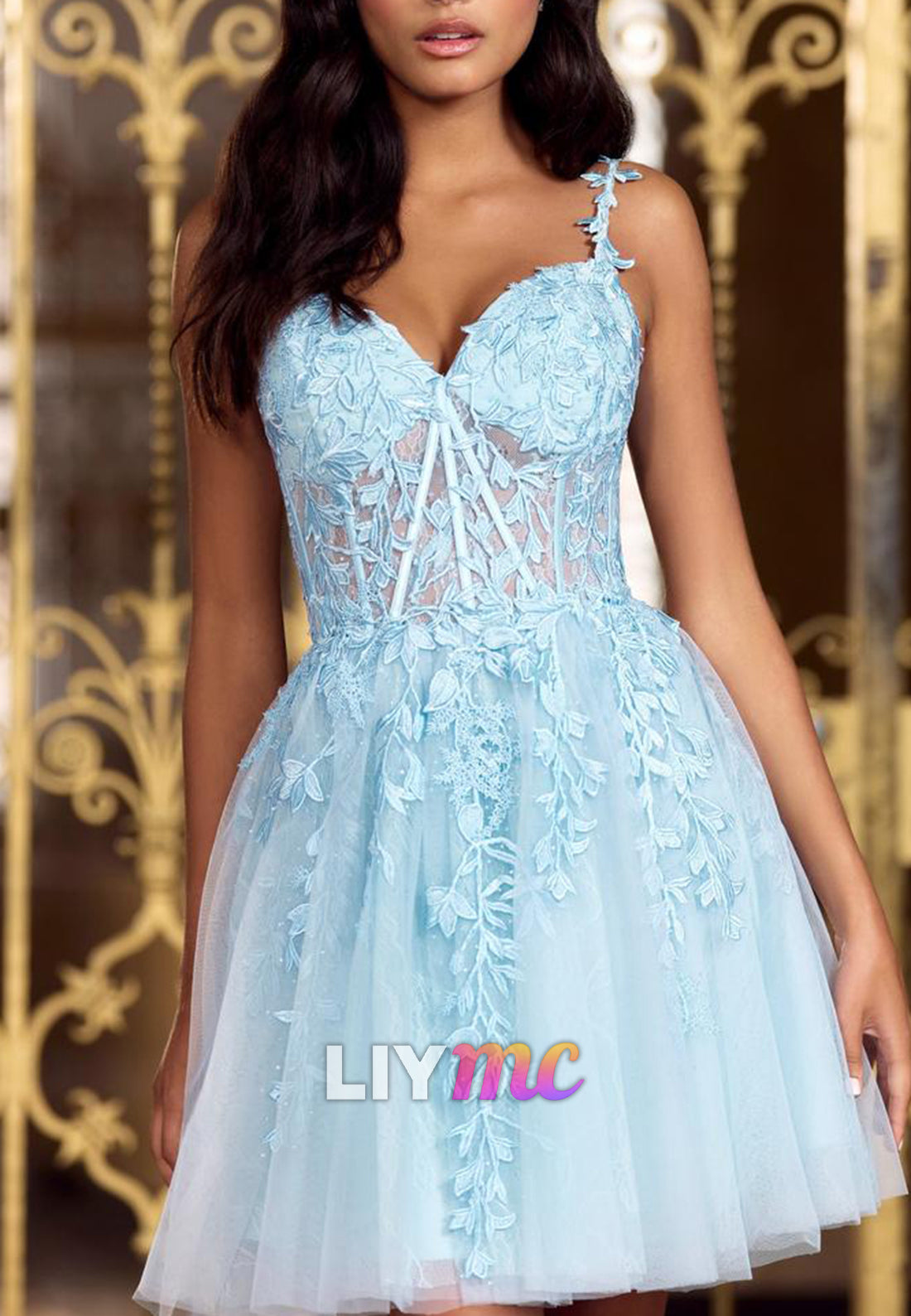 Sweetheart Sleeveless Appliques A-Line Tulle Short Homecoming Graduation Dress