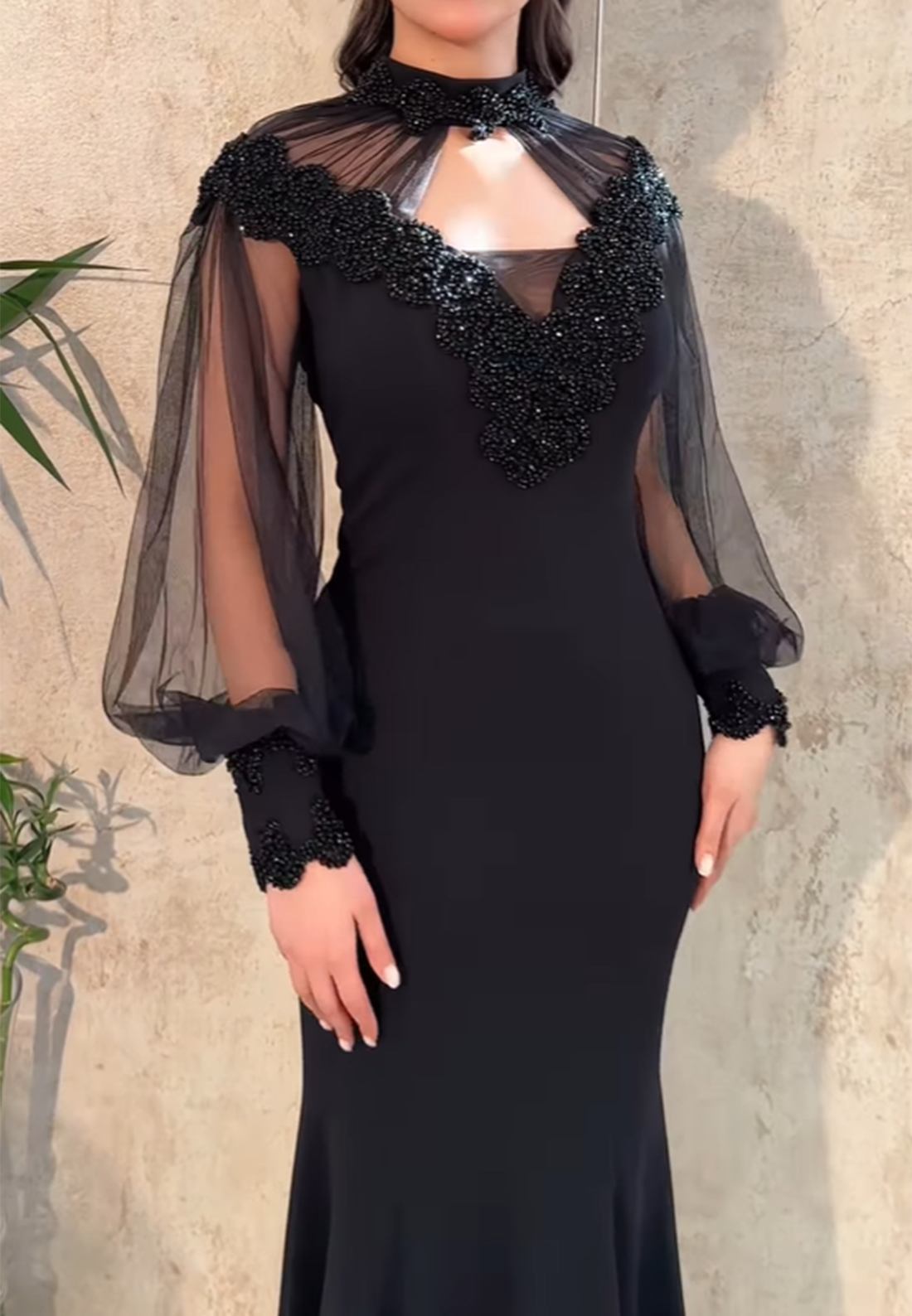 V-Neck Long Sleeves Appliques Mermaid Evening Dress