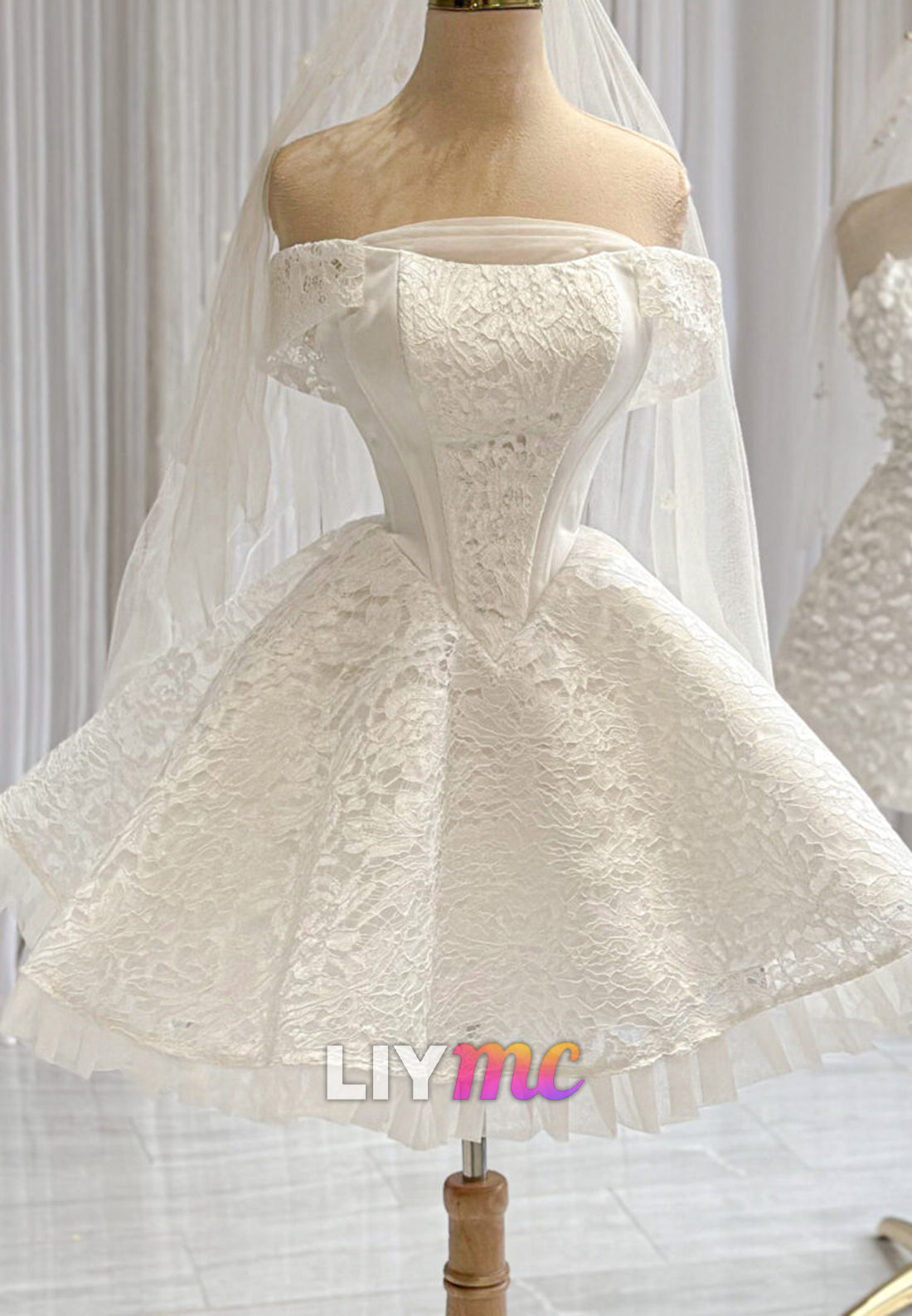 Short Lace Corset Wedding Dress with Veil