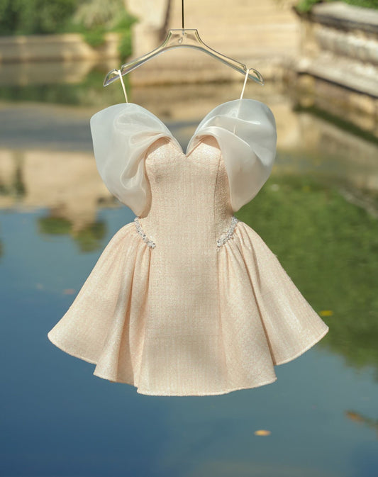 V-Neck Sleeves Pleated A-Line Short Homecoming Dress
