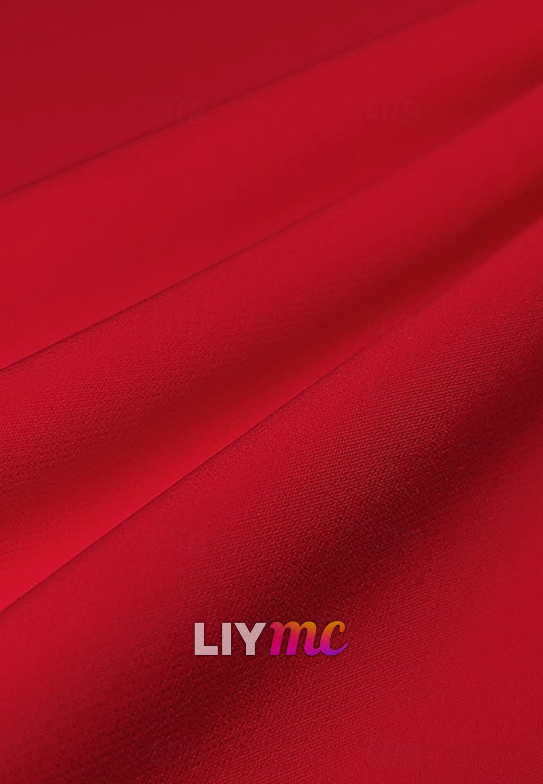 Mother of Bride Dress One Shoulder Long Sleeves Ruffles Evening Dress