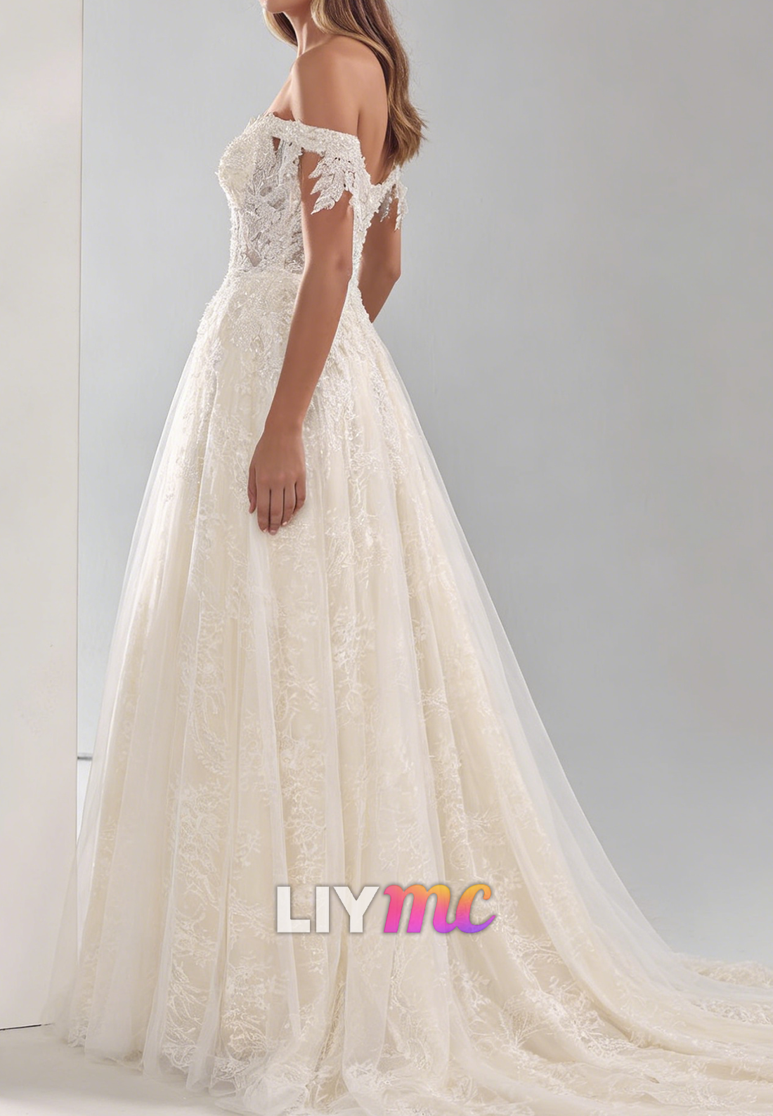Off-Shoulder Lace Appliques  A-Line Wedding Dress