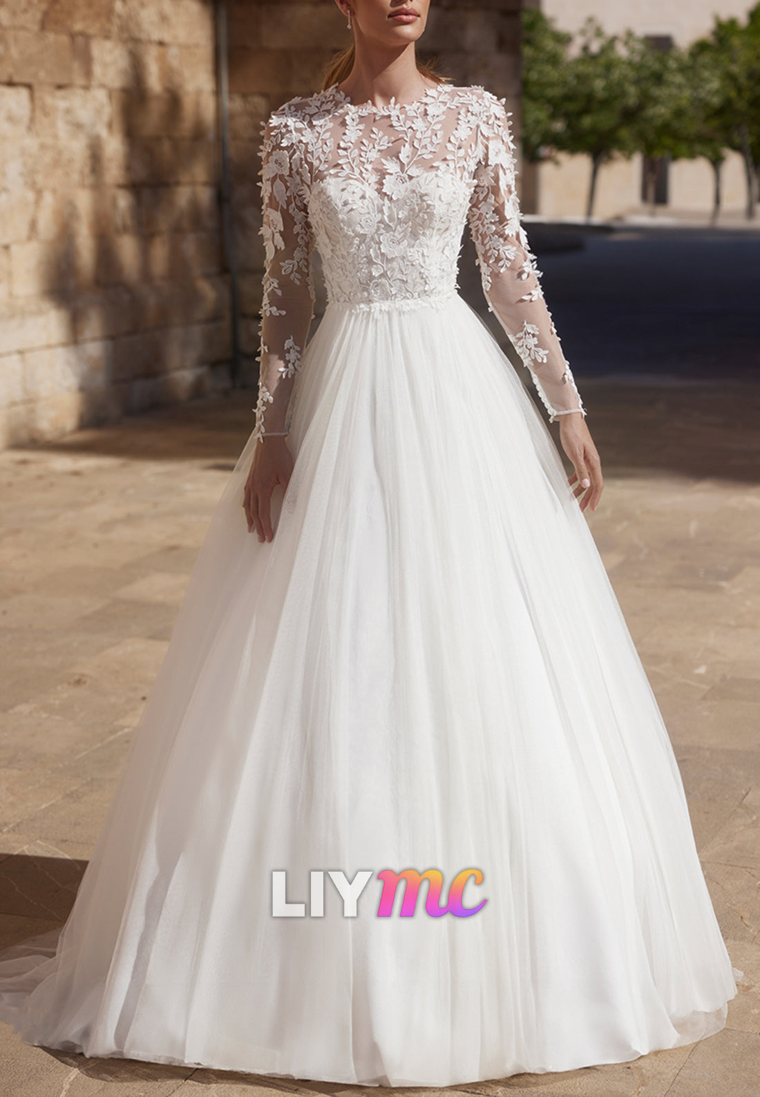 Scoop Long Sleeves Appliques Tulle Ball Gown Wedding Dress