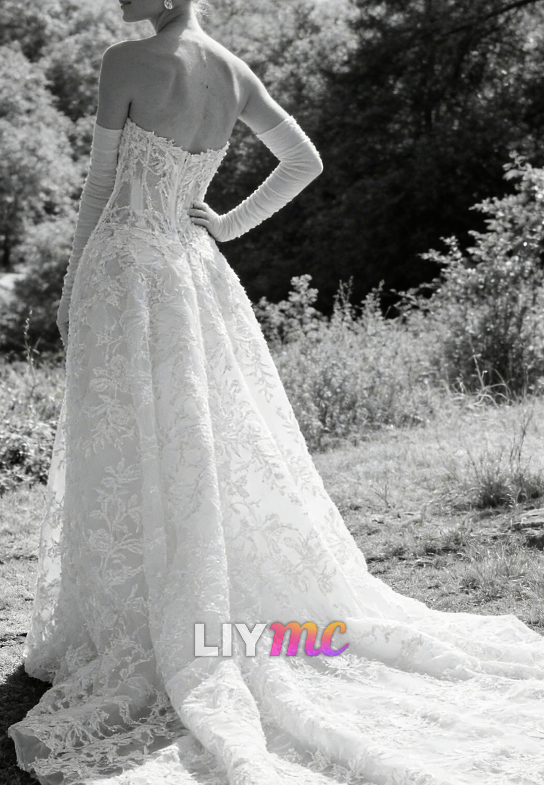 Sweetheart Lace Appliques Tulle Sleeveless A-Line Wedding Dress