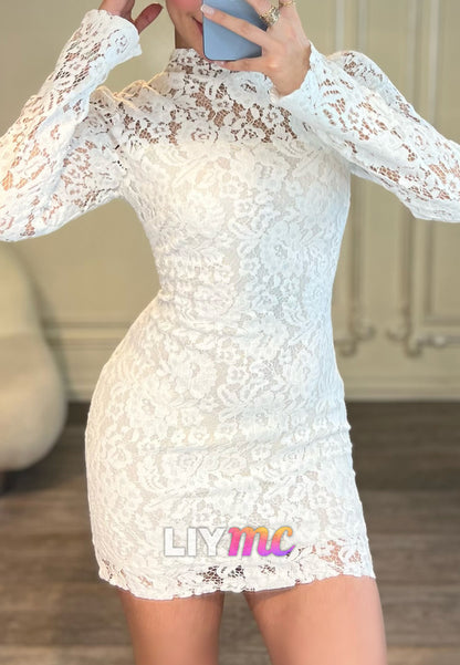 High Neck Long Sleeve Lace Bodycon Mini Dress