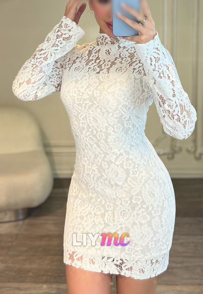 High Neck Long Sleeve Lace Bodycon Mini Dress