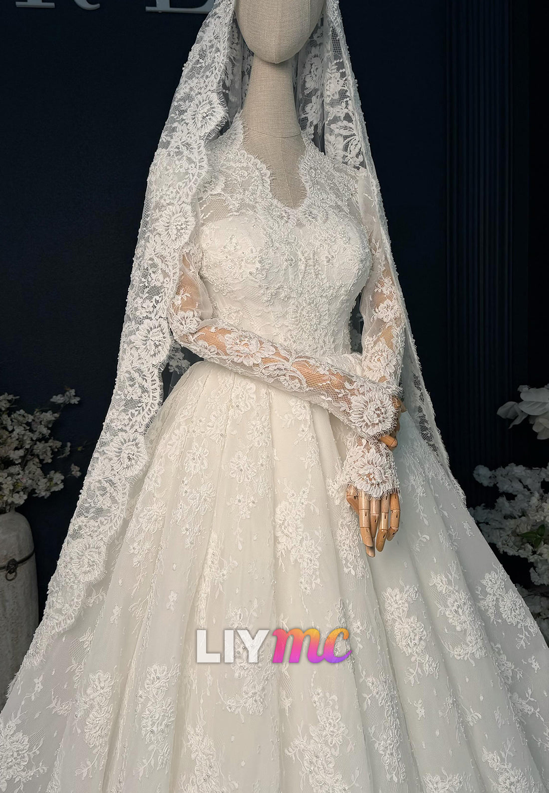 Long Sleeve Lace Ball Gown with Cathedral Veil