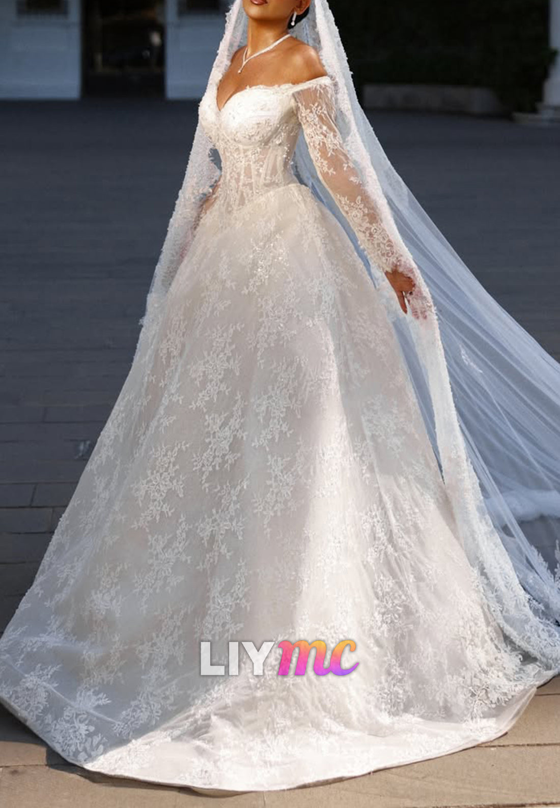 Off-the-Shoulder Lace Ball Gown Wedding Dress