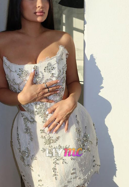 Beaded Lace Mini Dress with Oversized Back Bow