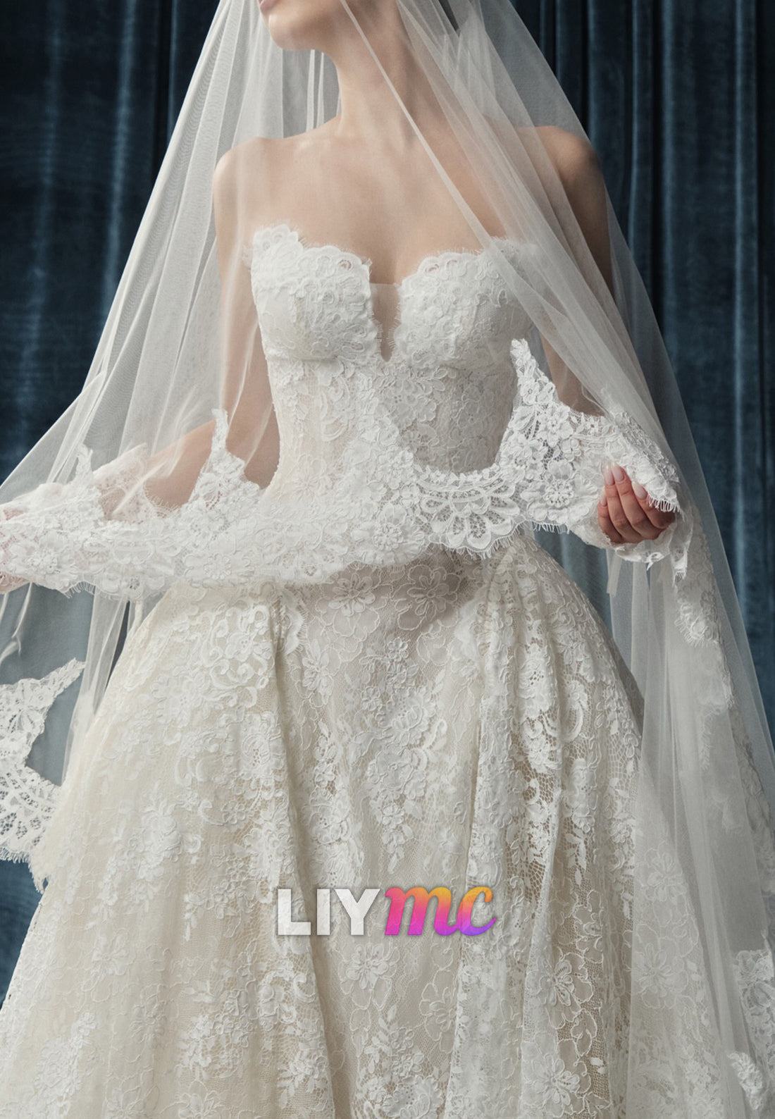 Off Shoulder Lace Ball Gown Wedding Dress with Veil