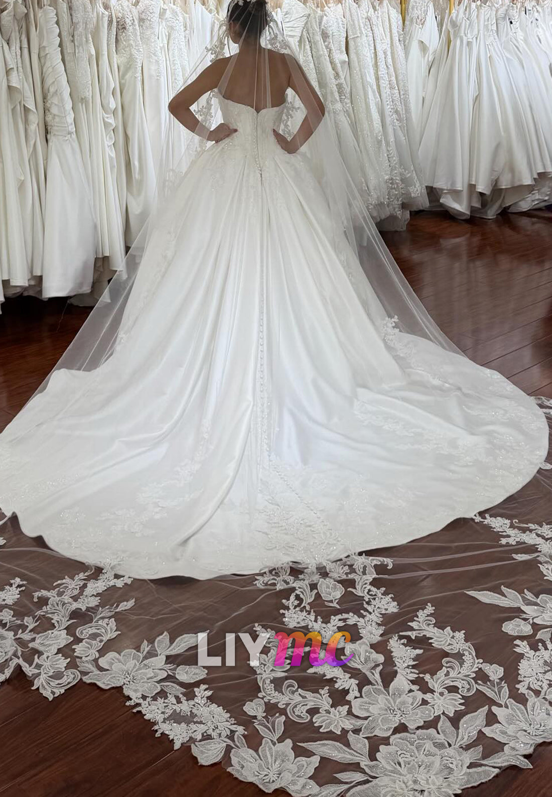 Strapless Ball Gown Wedding Dress with Lace Veil