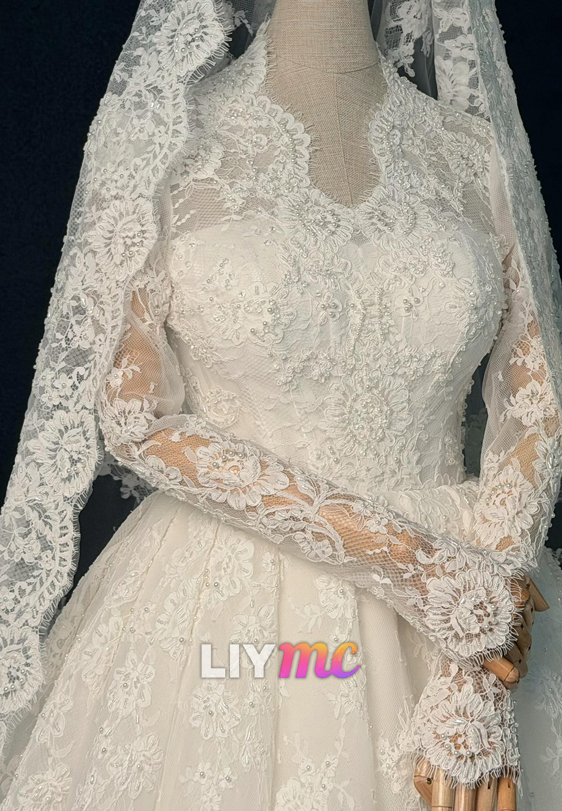 Long Sleeve Lace Ball Gown with Cathedral Veil