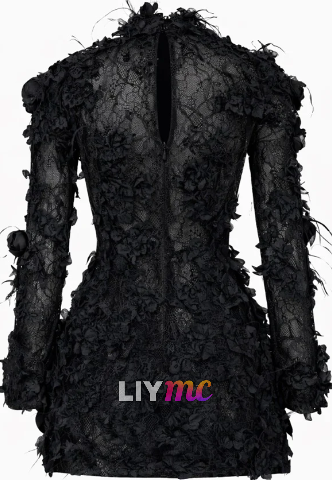 Long Sleeve 3D Rose Lace Mini Dress with Feather Trim