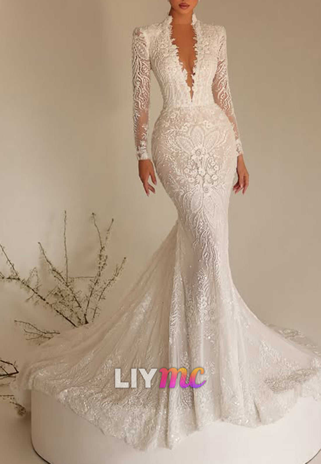 Lace Plunging Neck Mermaid Wedding Dress